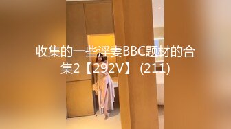 收集的一些淫妻BBC题材的合集2【292V】 (211)