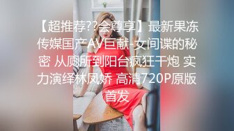 毒药杭州17公分雁型JJ第二季第二部