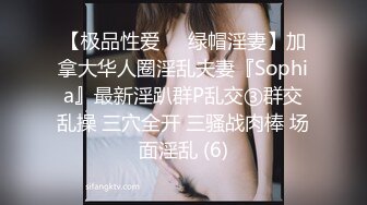 [MP4/621M]6/21最新 少妇这狗子真听话主人啪啪它在旁边熟睡VIP1196