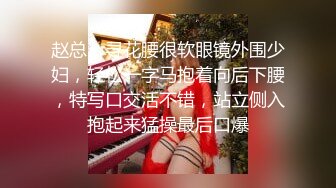 手势认证.人妻女仆装，全自动