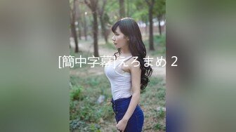 MMZ-016家教姐姐的奖励-叶如梦