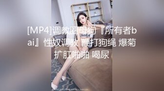 麻豆传媒 MDWP-0017 淫行按摩院 女技师的色欲挑逗