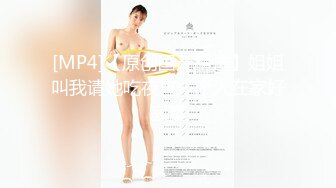 MFK-0026年轻的家政妇