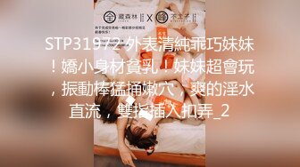 风月海棠第2部极品黑丝