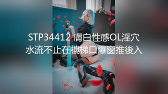 STP34412 膚白性感OL淫穴水流不止在樓梯口爆窗推後入