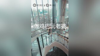 [MP4]真铁牛上线双飞空姐 车模假铁牛立马下线今晚还挺热闹