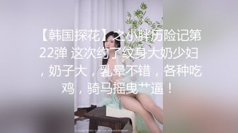 【韩国探花】之小胖历险记第22弹 这次约了纹身大奶少妇，奶子大，乳晕不错，各种吃鸡，骑马摇曳艹逼！