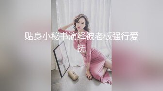 贴身小秘书演绎被老板强行爱抚