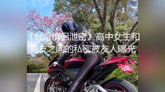 星空无限传媒 极品女炮友 婚前的最后一炮 佳芯