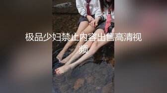 极品少妇禁止内容出售高清视频