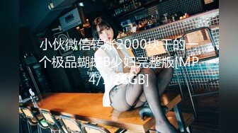 小伙微信转账2000块干的一个极品蝴蝶B少妇完整版[MP4/1.28GB]