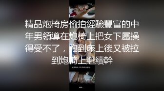 [MP4/2.2G]2024-2-22酒店偷拍 新婚夫妻度蜜月 欲求不满小娇妻两炮都喂不饱