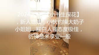 「吉祥物的节日限定——独属华人的春节情趣」国产新春贺岁主题合集（下）「21V」 (2)