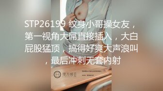 STP26199 纹身小哥操女友，第一视角大屌直接插入，大白屁股猛顶，搞得好爽大声浪叫，最后冲刺无套内射