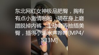 东北网红女神极品肥臀，胸有有点小激情啪啪，骑在身上磨蹭脱掉内裤，主动套弄抽插美臀，插得小逼水声哗哗[MP4/533M]