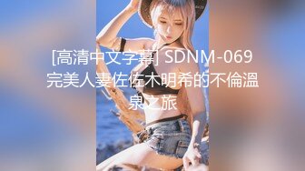 [高清中文字幕] SDNM-069完美人妻佐佐木明希的不倫溫泉之旅