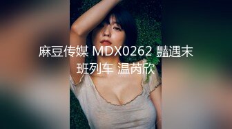 麻豆传媒 MDX0262 豔遇末班列车 温芮欣