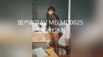 国产麻豆AV MD MD0025 空姐 杜冰若