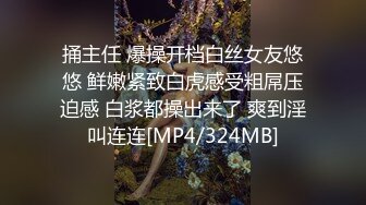 会吹潮的小母狗