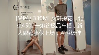 [MP4/ 330M] 文轩探花，北京4500一炮约极品车模，新人眼睛小伙上场，观感极佳