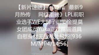 [MP4]麻豆传媒 MDX-0237-6 《私宅舒压堂》空姐私下的需求 蜜苏(苏艾文)