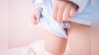 N4-白色芭蕾高跟