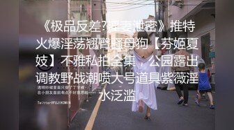 《极品反差?淫妻泄密》推特火爆淫荡翘臀骚母狗【芬姬夏妓】不雅私拍全集，公园露出调教野战潮喷大号道具紫薇淫水泛滥