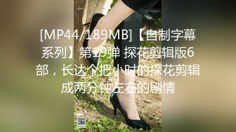 [MP44/189MB]【自制字幕系列】第19弹 探花剪辑版6部，长达个把小时的探花剪辑成两分钟左右的剧情