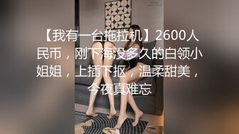 【我有一台拖拉机】2600人民币，刚下海没多久的白领小姐姐，上插下抠，温柔甜美，今夜真难忘