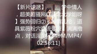 重磅核弹，10小时精品大放送，【性感女仆】【小土软乎乎】合集，终章11天，气质御姐日常淫乱，颜值高有味道