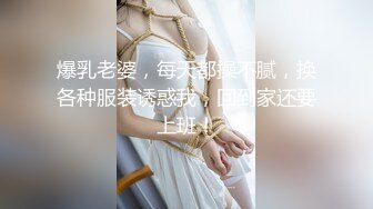 爆乳老婆，每天都操不腻，换各种服装诱惑我，回到家还要上班！