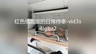 红色情趣服的日常侍奉-vid3s4lgbz2