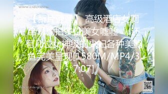 维纳斯VNS-006空姐的婆家人