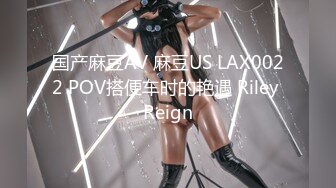 国产麻豆AV 麻豆US LAX0022 POV搭便车时的艳遇 Riley Reign