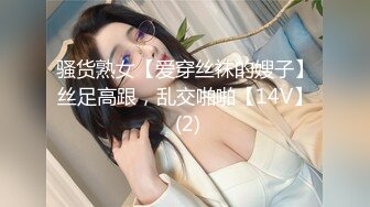 骚货熟女【爱穿丝袜的嫂子】丝足高跟，乱交啪啪【14V】 (2)