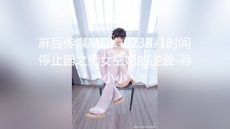 麻豆传媒MDX-0238-1时间停止器之痴女空姐的逆袭-寻小小