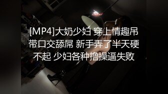 [MP4]大奶少妇 穿上情趣吊带口交舔屌 新手弄了半天硬不起 少妇各种撸操逼失败