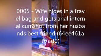 0005 - Wife hides in a travel bag and gets anal internal cumshot from her husbands best friend (64ee461a77ad0)