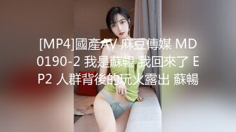 麻豆传媒MDX-0237-6空姐私下的需求-蜜苏[MP4/275MB]