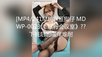 [MP4/241MB]麻豆狗仔 MDWP-0023《 淫行会议室》??下班后的瘙痒难耐