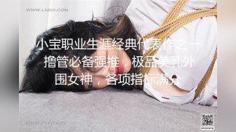 小宝职业生涯经典代表作之一 撸管必备强推，极品美乳外围女神，各项指标满分