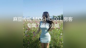 麻豆传媒 MKY-HC-001 房客专属？骚货小猫