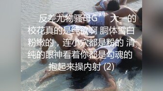 你的可爱小女仆已上线