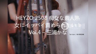 HEYZO 2508 痴女な素人熟女にイッパイ責められたい！Vol.4 – 三浦かな