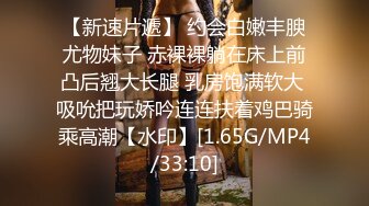 π060电车痴汉_不，这是电车美妇