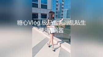 糖心Vlog.极品雪乳淫乱私生活-锅锅酱