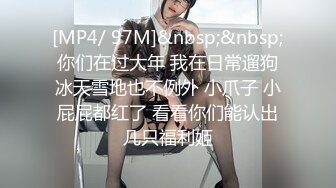 [MP4/ 545M]&nbsp;&nbsp; 孕妇就是骚，草逼不带套，全程露脸交大鸡巴让小哥舔逼呻吟