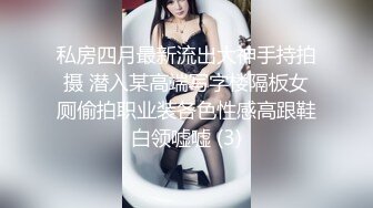 私房四月最新流出大神手持拍摄 潜入某高端写字楼隔板女厕偷拍职业装各色性感高跟鞋白领嘘嘘 (3)