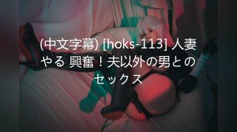 (中文字幕) [hoks-113] 人妻やる 興奮！夫以外の男とのセックス