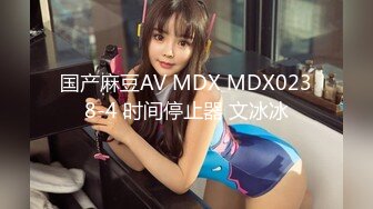 国产麻豆AV MDX MDX0238-4 时间停止器 文冰冰